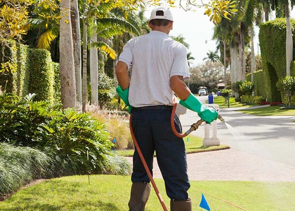About Bustins Island ME Pest Control Pros